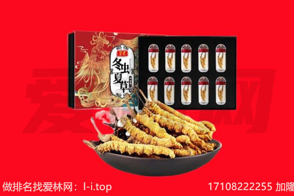 连江县回收虫草.jpg